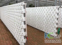 墻體無土栽培 墻體無土栽培