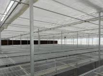 防腐蝕苗床 防腐蝕苗床