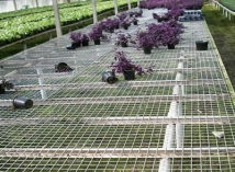 簡易苗床 簡易苗床