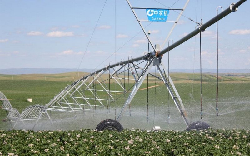 無土栽培，無土栽培技術(shù)，無土栽培設(shè)備