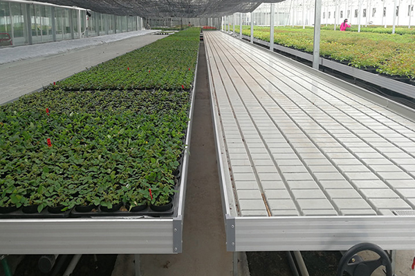 無土栽培,無土栽培技術,無土栽培設備