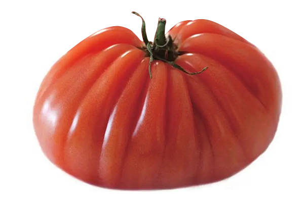 無土栽培,無土栽培技術,無土栽培設備