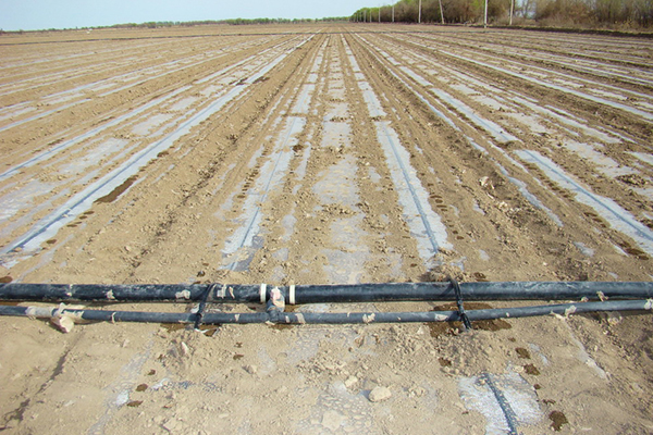 無(wú)土栽培,無(wú)土栽培技術(shù),無(wú)土栽培設(shè)備