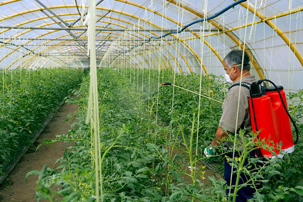 無(wú)土栽培,無(wú)土栽培技術(shù),無(wú)土栽培設(shè)備