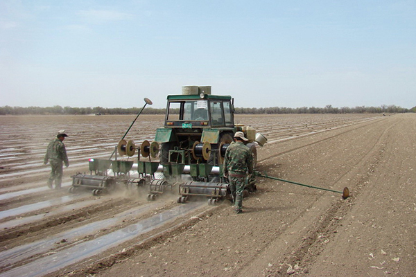 無(wú)土栽培,無(wú)土栽培技術(shù),無(wú)土栽培設(shè)備