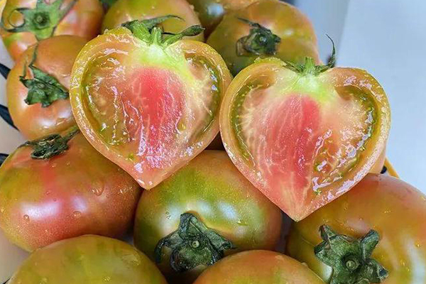 無土栽培,無土栽培技術,無土栽培設備