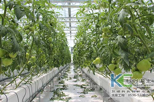 無土栽培，無土栽培技術，無土栽培設備