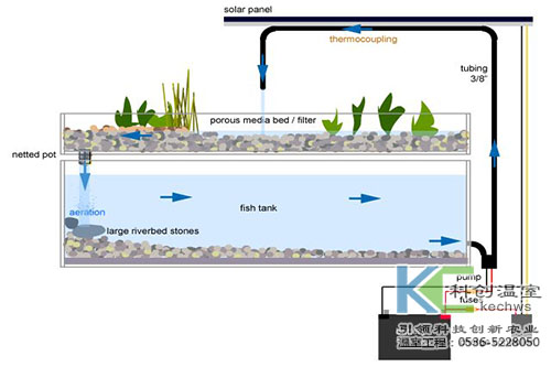 無(wú)土栽培，無(wú)土栽培技術(shù)，無(wú)土栽培設(shè)備