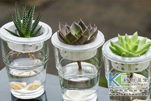 無(wú)土栽培，無(wú)土栽培技術(shù)，無(wú)土栽培設(shè)備