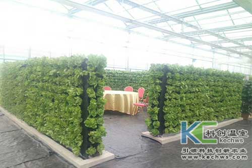 無(wú)土栽培,立體栽培,墻體栽培