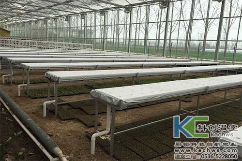 無土栽培，無土栽培技術，無土栽培設備