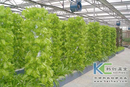 無土栽培，無土栽培技術(shù)，無土栽培設備