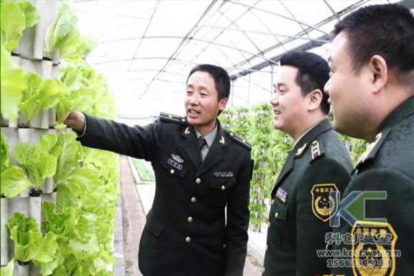 無土栽培，無土栽培技術，無土栽培設備