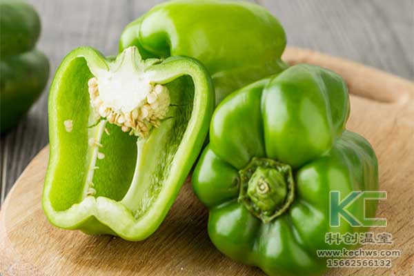 無土栽培，無土栽培技術