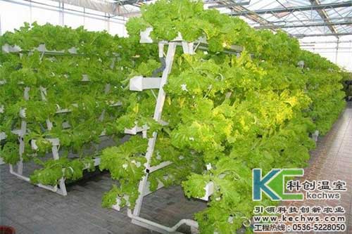 無土栽培，無土栽培技術，無土栽培設備