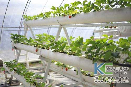 無土栽培，無土栽培技術，無土栽培設備