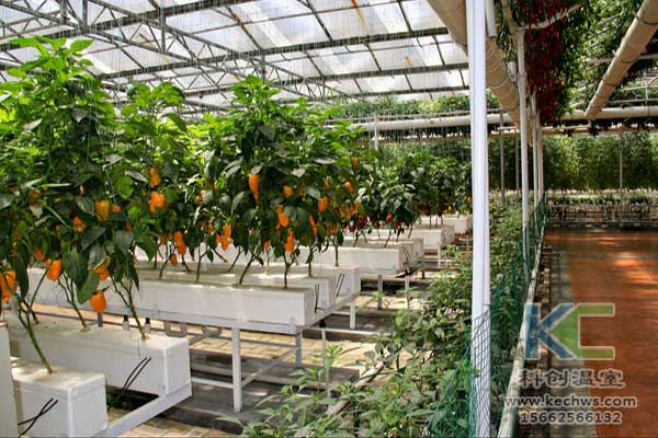 無(wú)土栽培，無(wú)土栽培技術(shù)