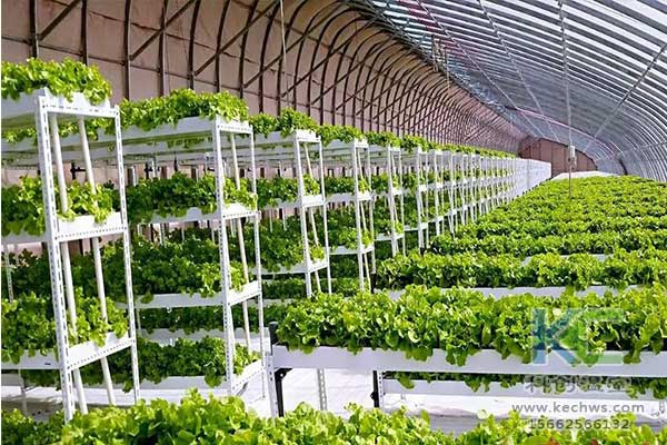 無土栽培，無土栽培技術，無土栽培設備