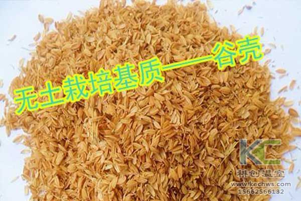 無(wú)土栽培，無(wú)土栽培技術(shù)