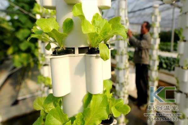 無(wú)土栽培，無(wú)土栽培技術(shù)，無(wú)土栽培設(shè)備