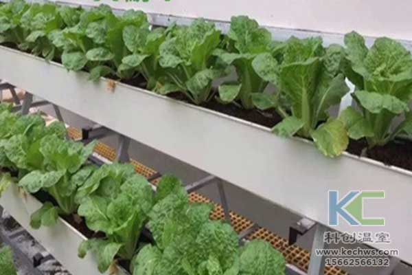 無土栽培，無土栽培技術(shù)，無土栽培設(shè)備