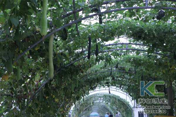 無土栽培，無土栽培技術，無土栽培設備