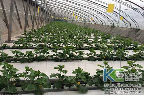 無土栽培，無土栽培技術(shù)，無土栽培設(shè)備