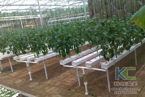 無土栽培，無土栽培技術，無土栽培設備