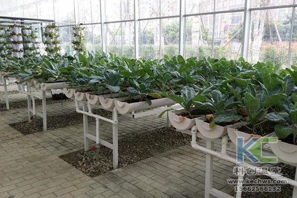 無(wú)土栽培,無(wú)土栽培技術(shù),無(wú)土栽培設(shè)備