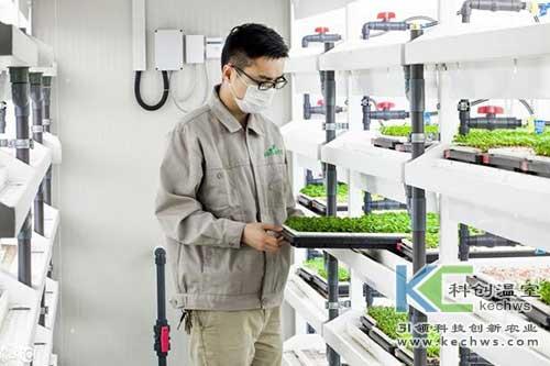 無(wú)土栽培，無(wú)土栽培技術(shù)，無(wú)土栽培設(shè)備