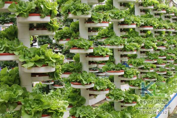 無土栽培技術(shù)，無土栽培設(shè)備，無土栽培，溫室大棚