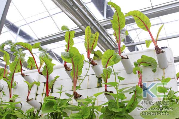無土栽培，無土栽培技術(shù)，無土栽培設(shè)備