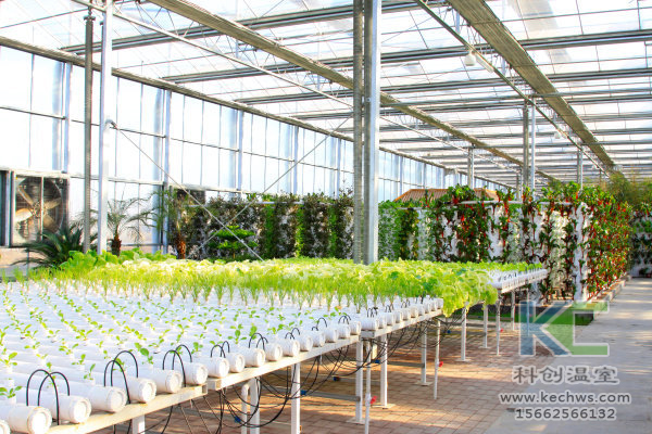 無土栽培,設備,無土栽培設備,設施