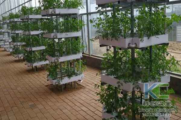 無土栽培技術,無土栽培設備,無土栽培,溫室大棚