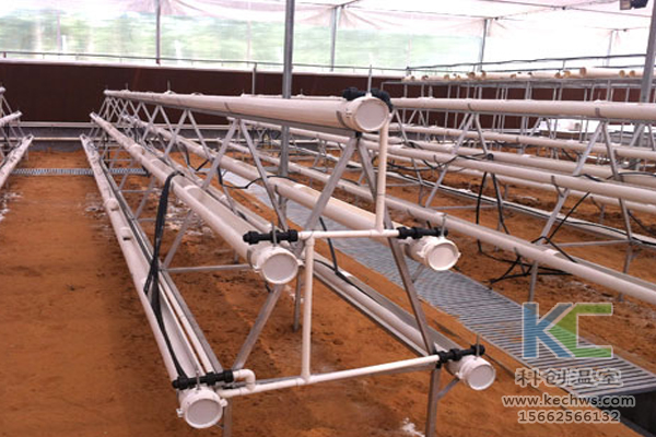 魚菜共生系統(tǒng)，無土栽培技術(shù)，無土栽培，溫室大棚