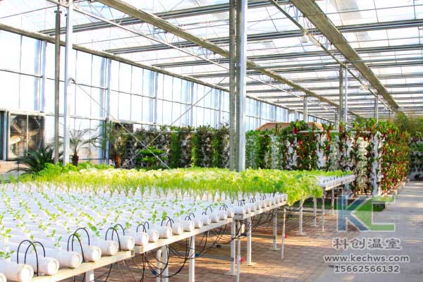 無土栽培，無土栽培技術(shù)，無土栽培設(shè)備