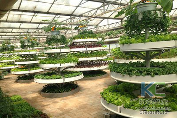 蔬菜無土栽培，無土栽培技術，無土栽培設備，無土栽培