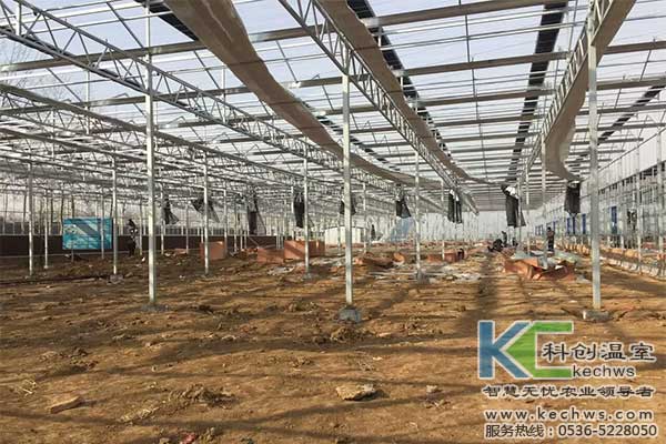 無(wú)土栽培，無(wú)土栽培技術(shù)，無(wú)土栽培設(shè)備