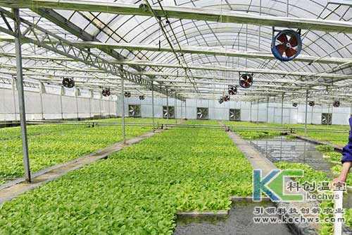 無土栽培，無土栽培技術(shù)，無土栽培設(shè)備