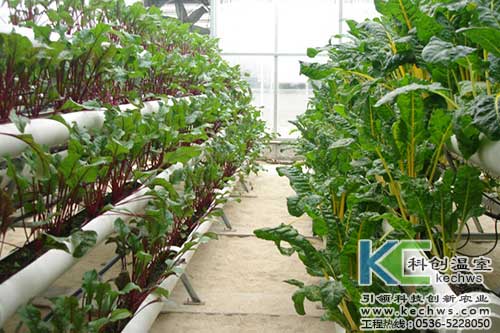 無土栽培，無土栽培技術，無土栽培設備