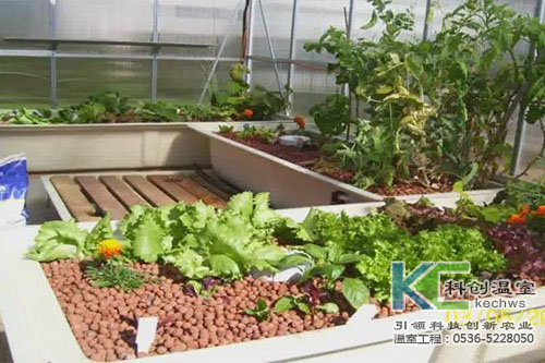 無(wú)土栽培，無(wú)土栽培技術(shù)，無(wú)土栽培設(shè)備