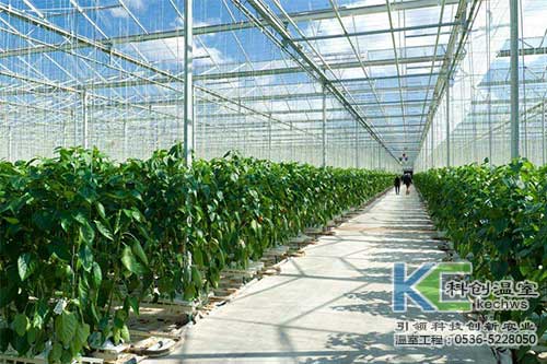 無土栽培，無土栽培技術，無土栽培設備