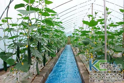 無土栽培，無土栽培技術，無土栽培設備