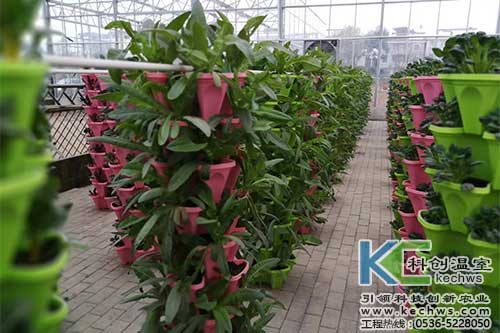 無土栽培，無土栽培技術，無土栽培設備