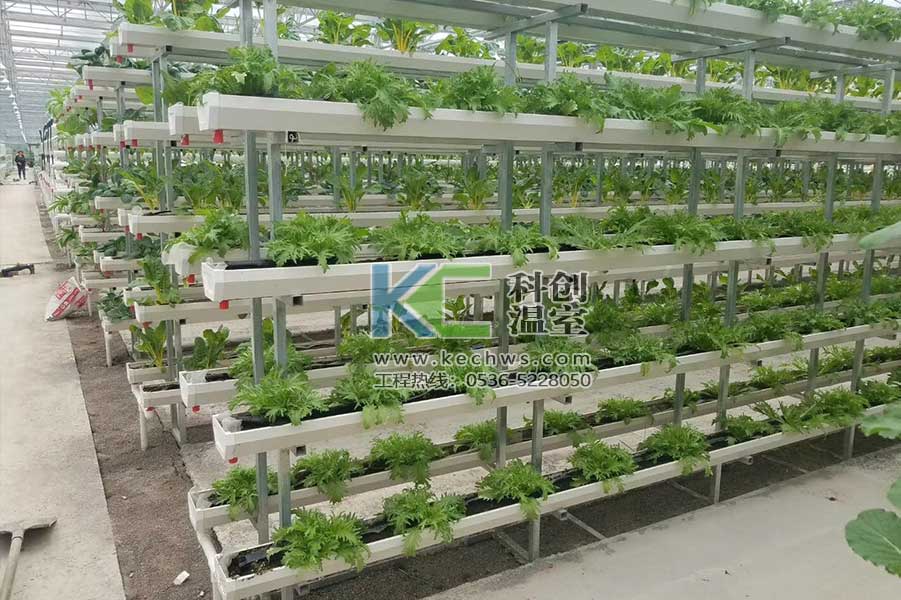 無(wú)土栽培，無(wú)土栽培技術(shù)，無(wú)土栽培設(shè)備