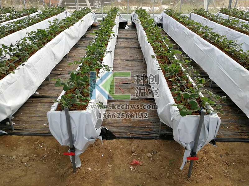 無土栽培，無土栽培技術(shù)，無土栽培設(shè)備