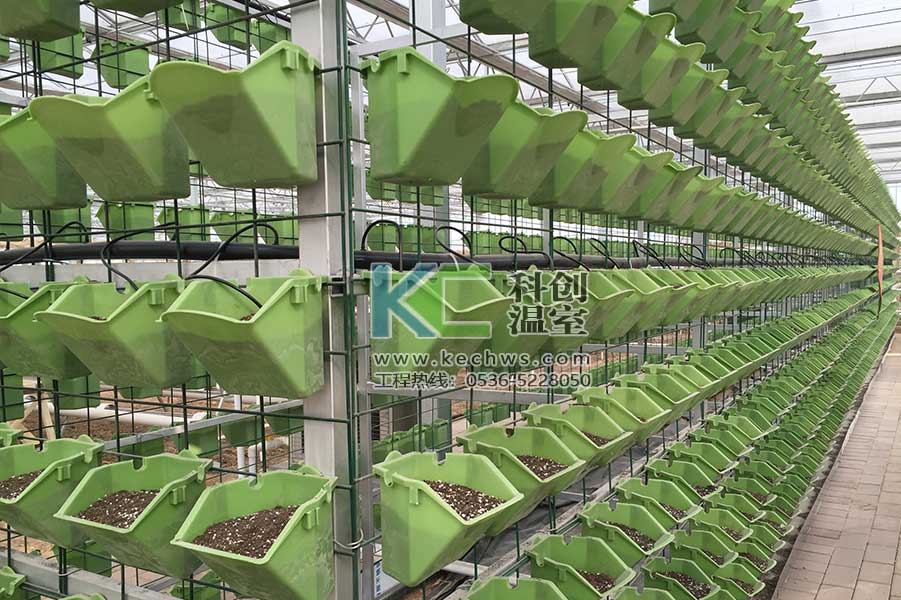 無土栽培,無土栽培技術,無土栽培設備