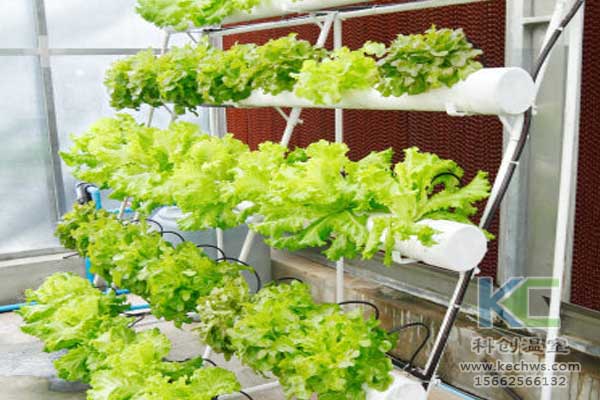 無(wú)土栽培,無(wú)土栽培技術(shù),無(wú)土栽培設(shè)備