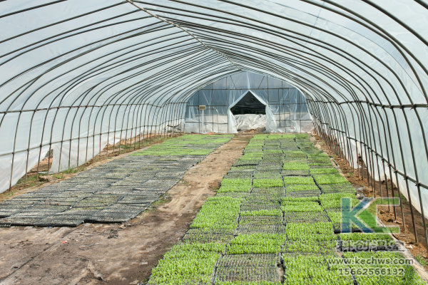 無土栽培,無土栽培技術(shù),無土栽培設(shè)備