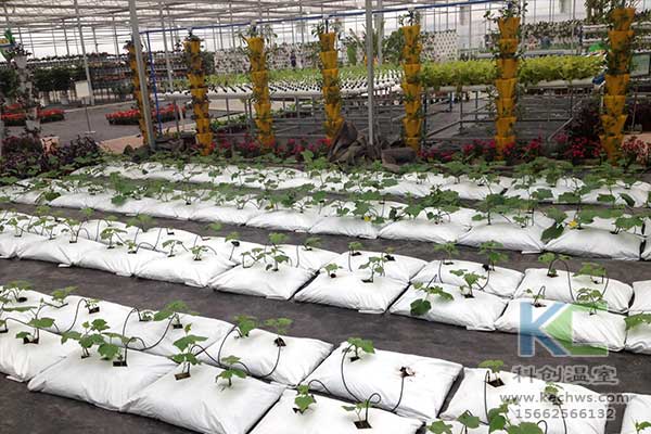 無土栽培，無土栽培技術(shù)，無土栽培設(shè)備